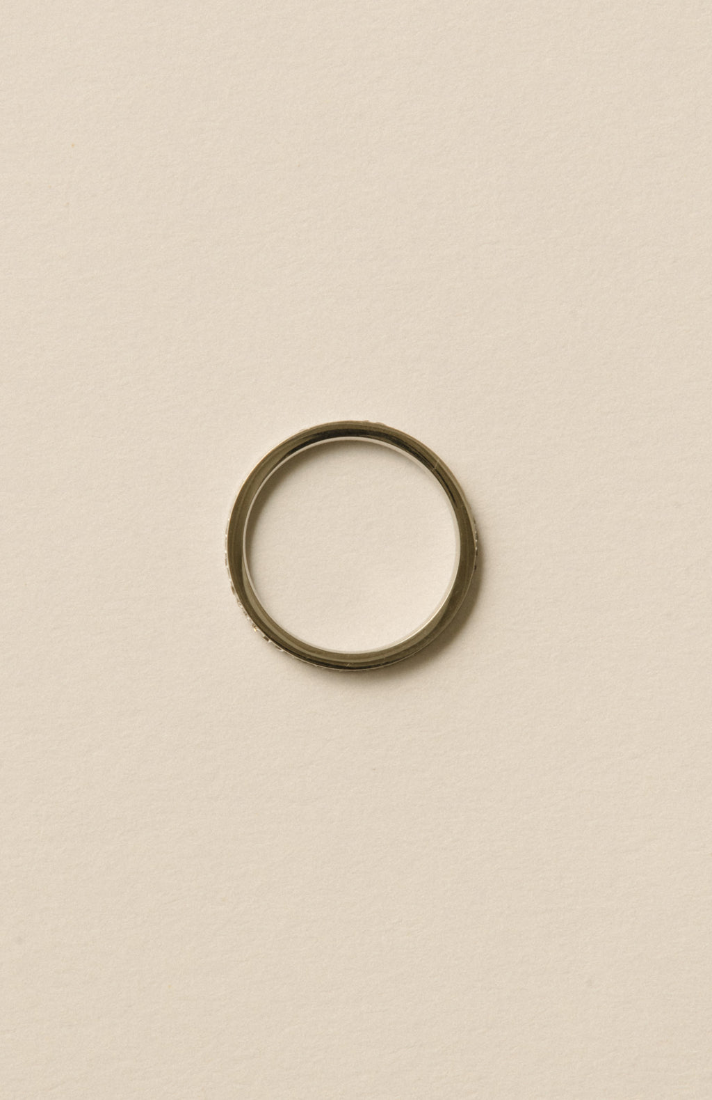 Eternal Stone Ring / Silver